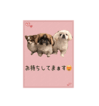ギブミースマイル2（個別スタンプ：7）
