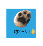 ギブミースマイル2（個別スタンプ：8）