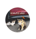 まったりーすたんぷ（個別スタンプ：2）