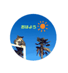 まったりーすたんぷ（個別スタンプ：9）