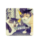 まったりーすたんぷ（個別スタンプ：14）