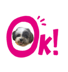 がんばれ豆吉くん！（個別スタンプ：3）