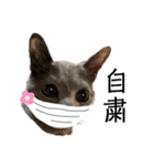 mainanaすたんぷ（個別スタンプ：17）