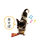 mainanaすたんぷ（個別スタンプ：18）