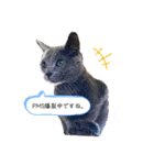 mainanaすたんぷ（個別スタンプ：20）