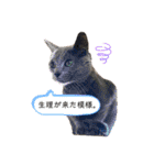 mainanaすたんぷ（個別スタンプ：21）