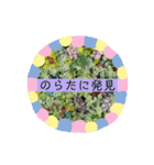 mainanaすたんぷ（個別スタンプ：29）