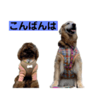 ゴルゴルゴル（個別スタンプ：3）