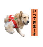 ゴルゴルゴル（個別スタンプ：5）