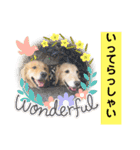 ゴルゴルゴル（個別スタンプ：6）