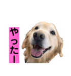 ゴルゴルゴル（個別スタンプ：9）