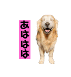ゴルゴルゴル（個別スタンプ：12）