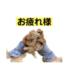 ゴルゴルゴル（個別スタンプ：18）