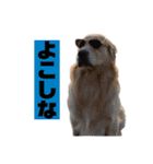 ゴルゴルゴル（個別スタンプ：30）