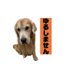 ゴルゴルゴル（個別スタンプ：31）