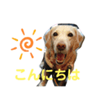 むちゃちの日常（個別スタンプ：2）