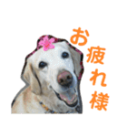 むちゃちの日常（個別スタンプ：4）