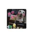 むちゃちの日常（個別スタンプ：10）
