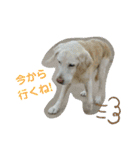 むちゃちの日常（個別スタンプ：11）