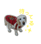 むちゃちの日常（個別スタンプ：13）