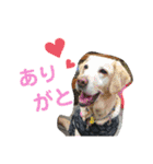むちゃちの日常（個別スタンプ：18）