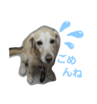 むちゃちの日常（個別スタンプ：20）