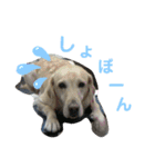 むちゃちの日常（個別スタンプ：22）