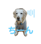 むちゃちの日常（個別スタンプ：23）