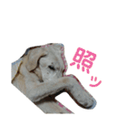 むちゃちの日常（個別スタンプ：30）
