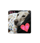 むちゃちの日常（個別スタンプ：32）