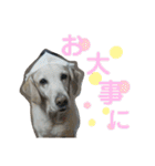 むちゃちの日常（個別スタンプ：34）