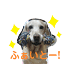 むちゃちの日常（個別スタンプ：36）