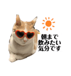じんたん＆おもにゃん2（個別スタンプ：11）