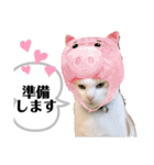 じんたん＆おもにゃん2（個別スタンプ：15）