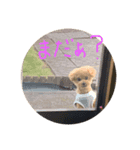 栗岡るびちゃん（個別スタンプ：2）