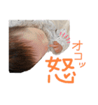 壱心 Part1（個別スタンプ：3）