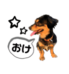 ❤️ぺりー❤️（個別スタンプ：14）