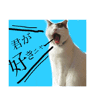 僕、シェリーくん（個別スタンプ：7）