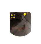 かわいい猫スタンプ❤️（個別スタンプ：14）