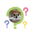 やんちゃくっちゃ翔ちまん（個別スタンプ：14）