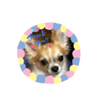やんちゃくっちゃ翔ちまん（個別スタンプ：18）
