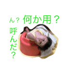 成菜Part1（個別スタンプ：16）