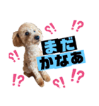 Lilly♡（個別スタンプ：4）