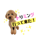 Lilly♡（個別スタンプ：5）