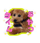 Lilly♡（個別スタンプ：7）