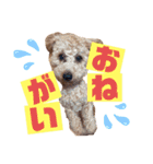Lilly♡（個別スタンプ：9）