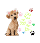 Lilly♡（個別スタンプ：11）