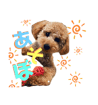 Lilly♡（個別スタンプ：15）