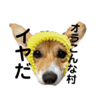 使い所がむつかしい コーギーのりんごさん（個別スタンプ：18）