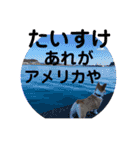 使い所がむつかしい コーギーのりんごさん（個別スタンプ：23）